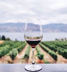 Wine Tours