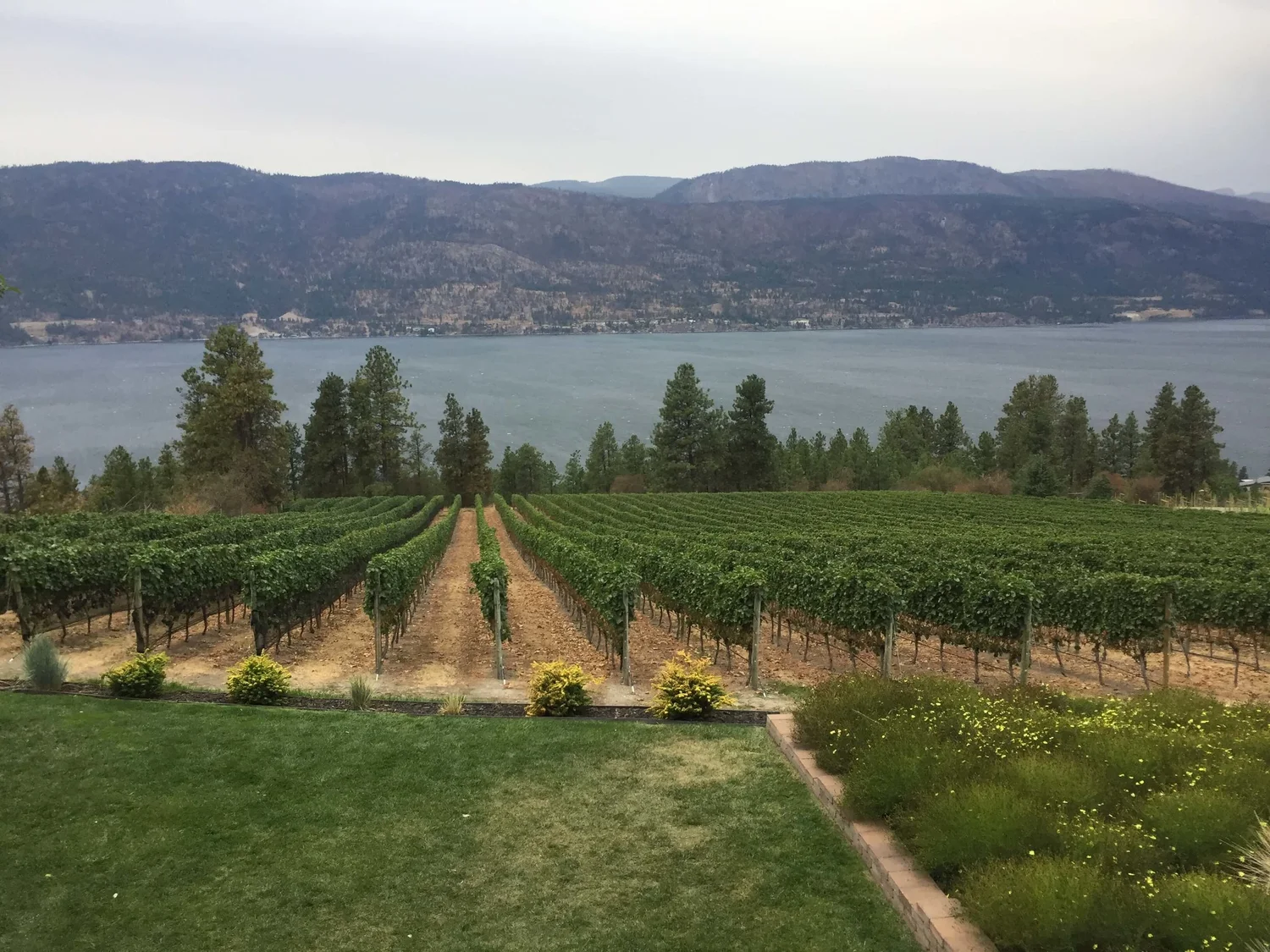 The Okanagan Wine Trail